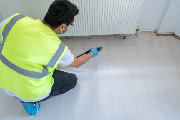 Best Fumigation Services  in Auberry, CA